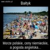 Dzięki islamowi...