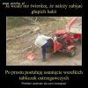 Jestem zecydowanie za