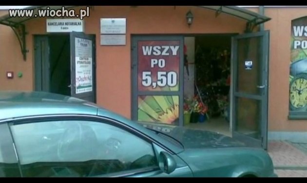 Wszy  