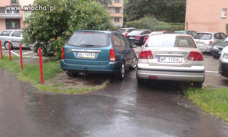 Z "fasolowa" w mordę j...