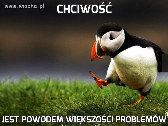 Chciwość