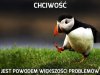 Chciwość