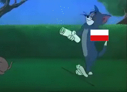 Polska - Niemcy