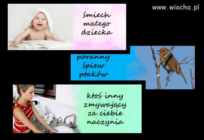 Najpiękniejsze dźwięki natury