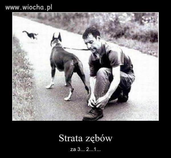 I po zębach