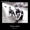 I po zębach