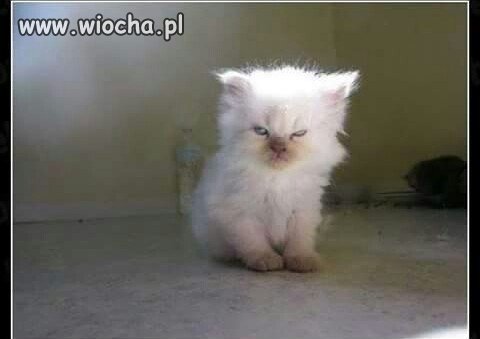 Nie wiem kto mnie obudził.