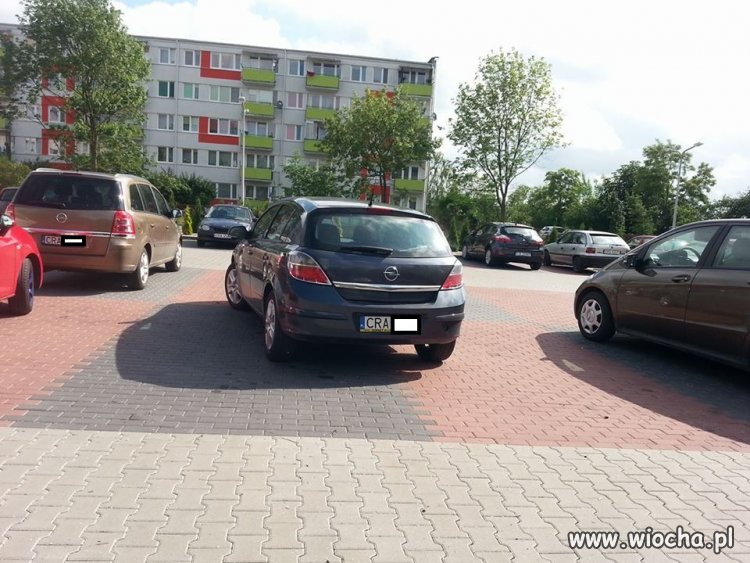 Mistrz parkowania