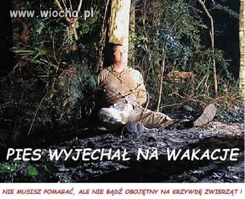 Gdy odwrocić role 