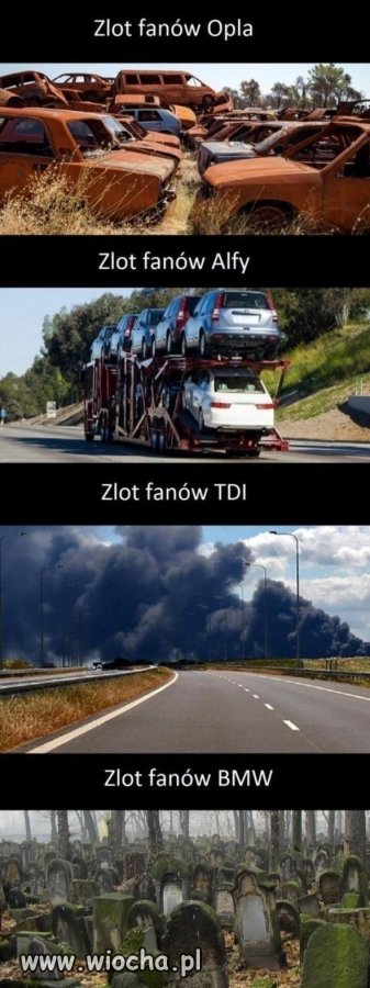 Zloty fanów