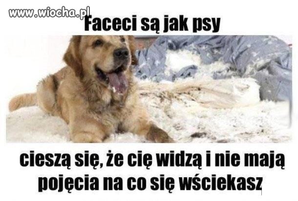 Dać dobrze zjeść, nie drażnić i wypuszczać na noc