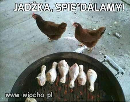 Jadzka w nogi