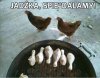 Jadzka w nogi