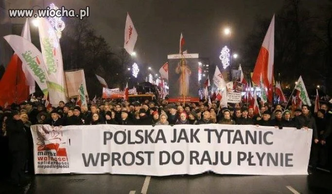 Poziom intelektualny moherów