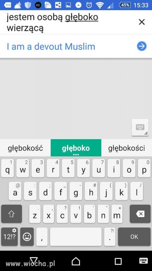 Tłumacz Google jak zawsze niezawodny