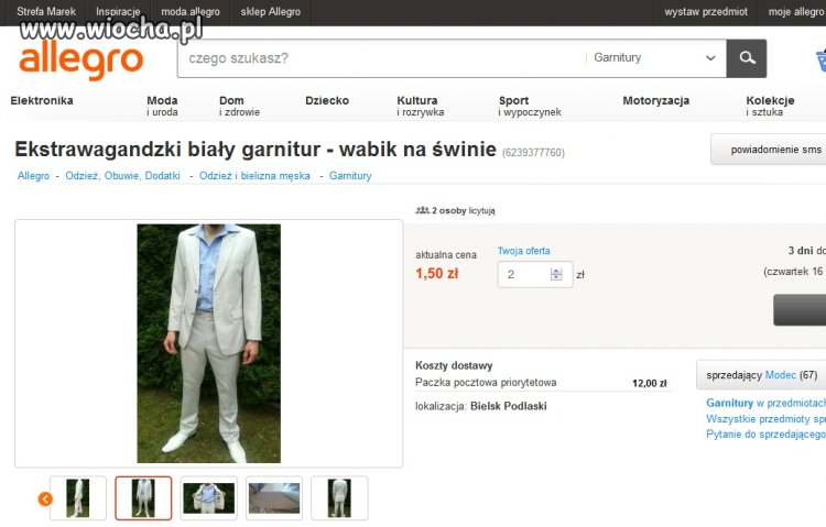 Wabik na świnie -