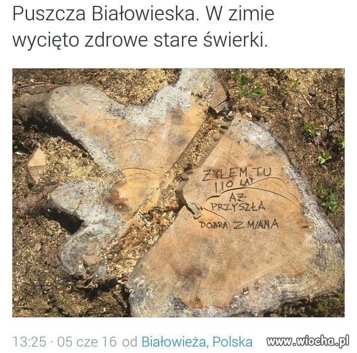 Dobra zmiana