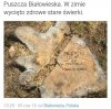 Dobra zmiana