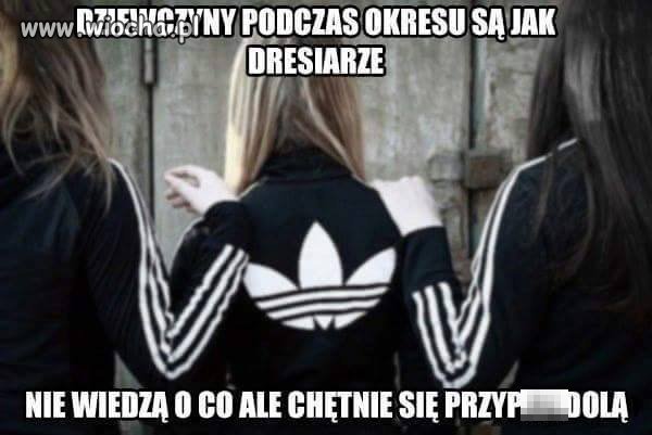 Tyż prawda 