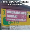 I to się nazywa 