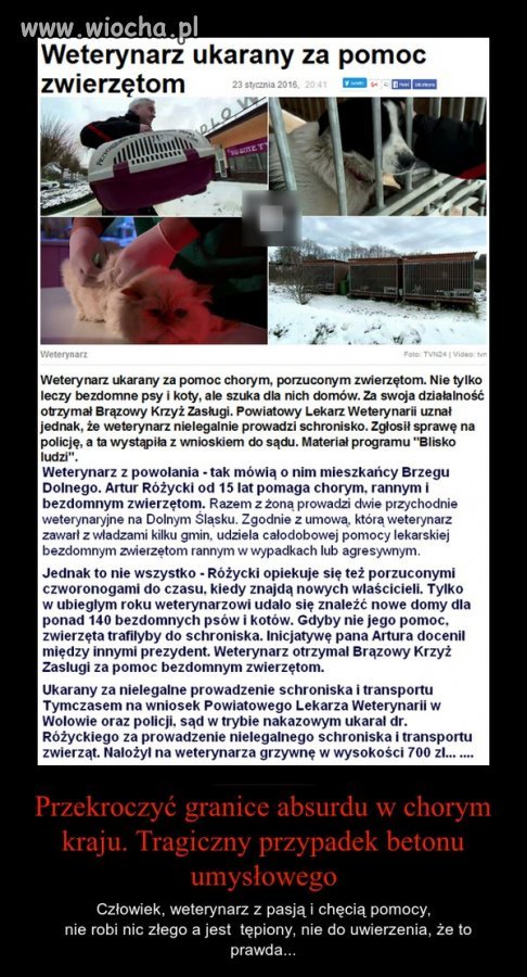 Dziwny kraj...