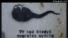 A gdy ktoś kiedyś powie Ci że jesteś słaby 