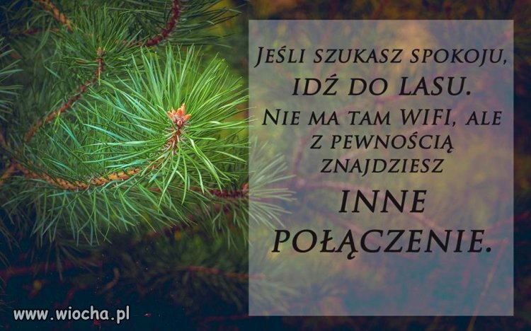 Nie WIFI jest najważniejsze.