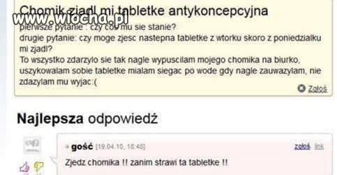 Chomik antykoncepcyjny