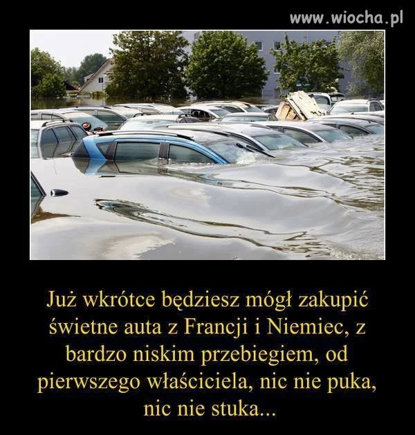 Wielka wyprzedaż okazji