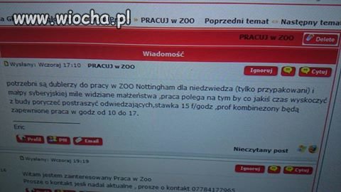 Oferta pracy prosto z Wysp Brytyjskich