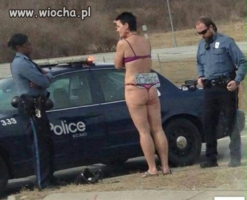 Prawo jazdy i dowód rejestracyjny proszę 
