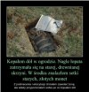 Przestroga dla żony, jak mąż za łopate chwyci