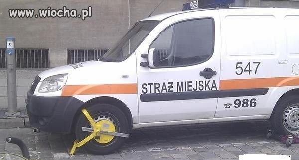 Nosił wilk razy kilka, ponieśli i wilka 