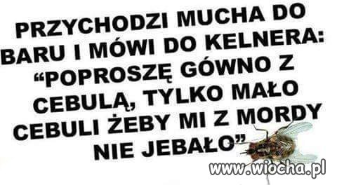 Przychodzi mucha do baru