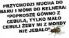 Przychodzi mucha do baru
