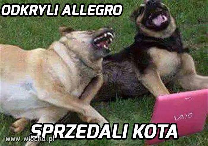 Odkryli allegro