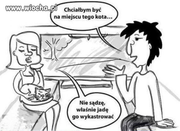 Chciałbym być na miejscu kota