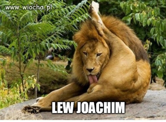 Lew Joachim