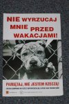 Idzie lato, a z tym wyrzucanie psów na ulice