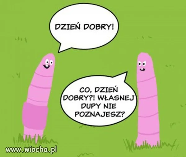 Dżdżownica 
