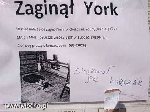 Smakował jak ...