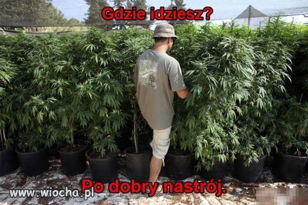 I jak mi ktoś mówi że nie mogę 