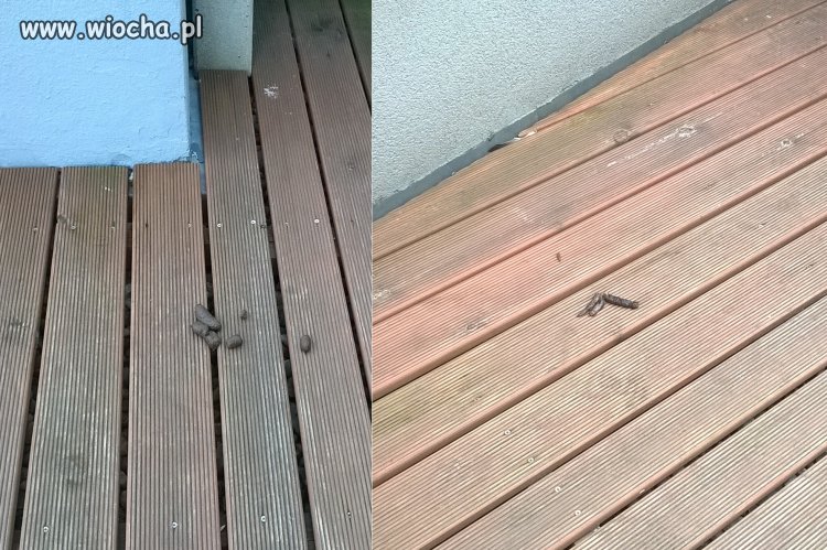 Taras prestiżowego bloku w centrum Białegostoku