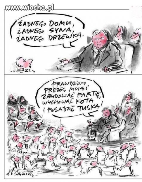 H.Sawka znów w formie