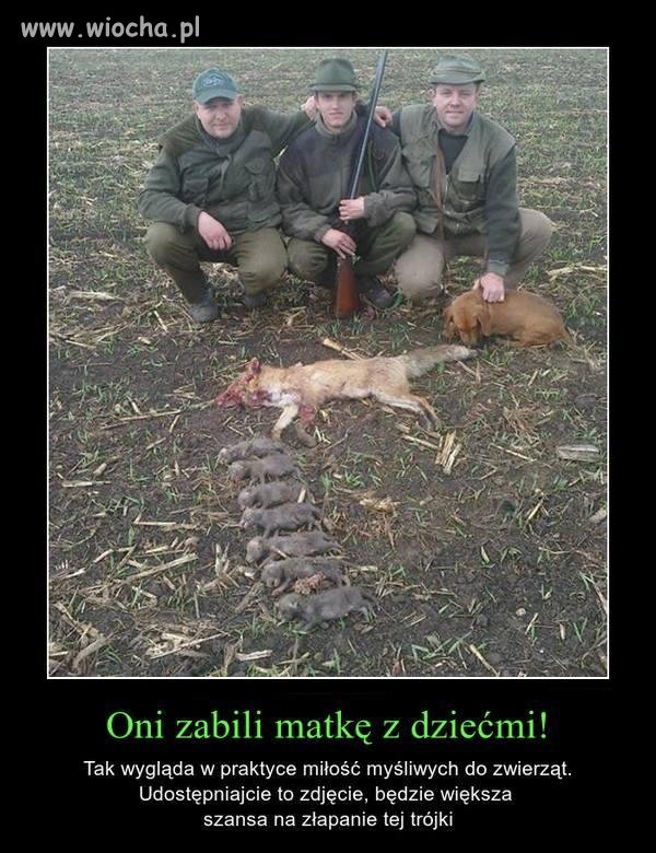 Udostępniać !!!