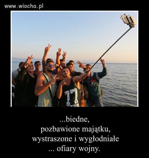 Taka jest prawda o większości tzw. uchodźców