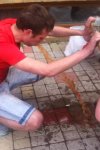 Obieg płynów w organiźmie