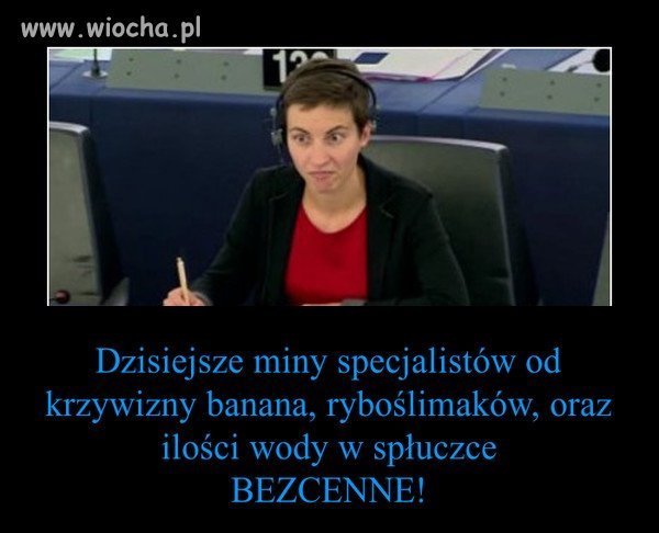 Miny europarlamentarzystów.