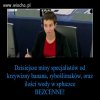 Miny europarlamentarzystów.