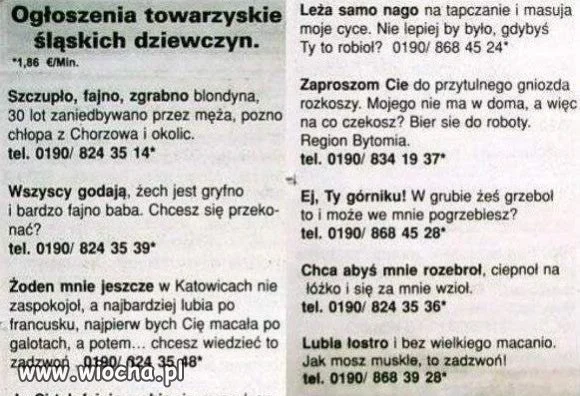 Ogłoszenia.